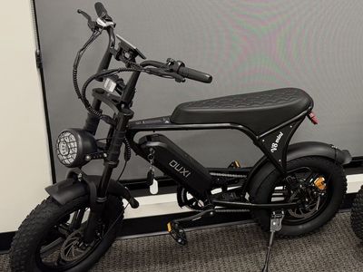 Stolen Mini E-Bike