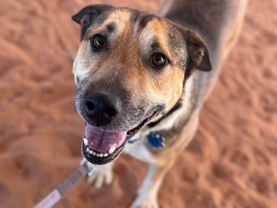 Hello my name is Ripley