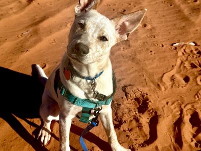 Hello my name is Sequin