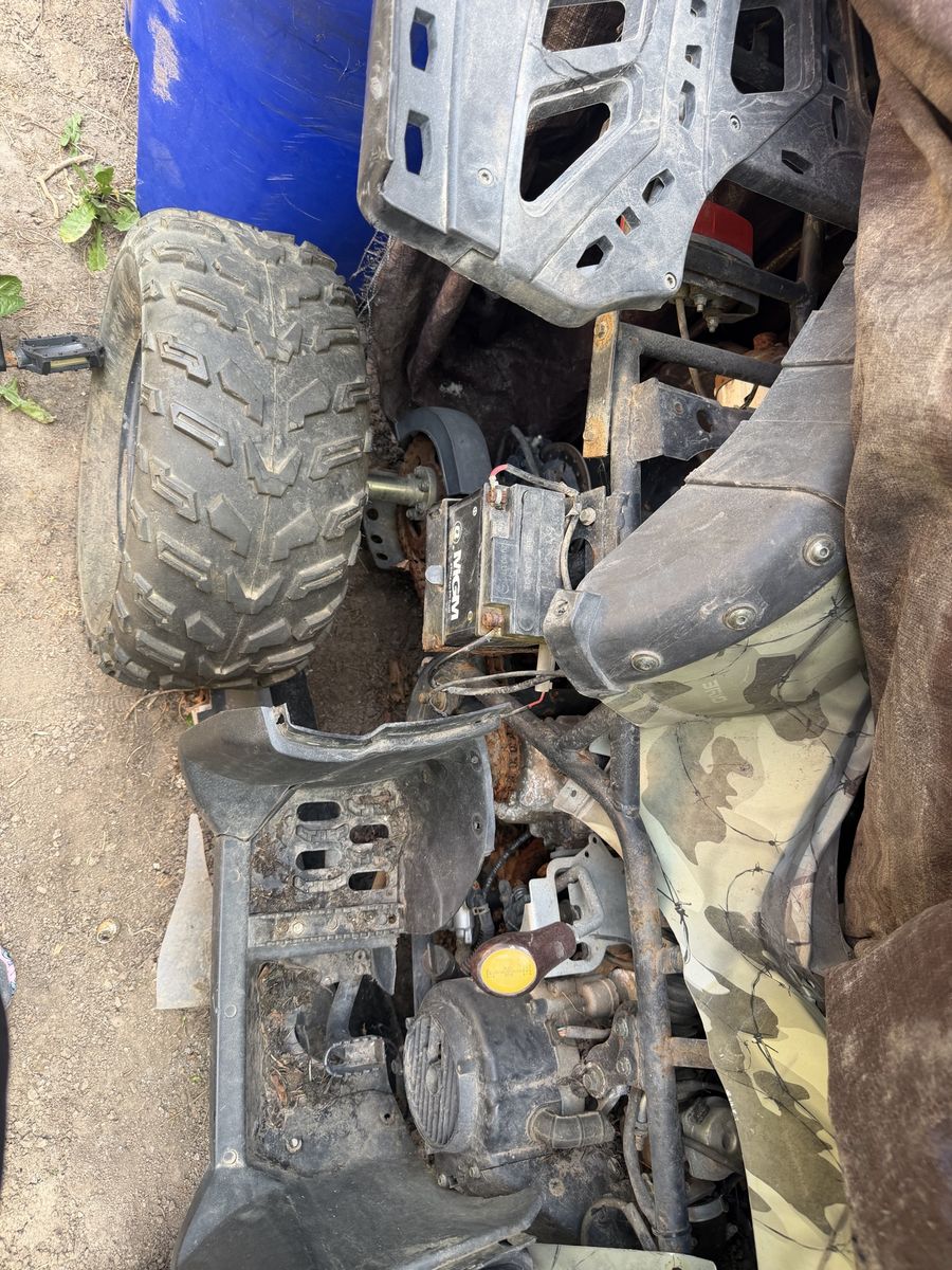 Tao motor rhino forwheeler