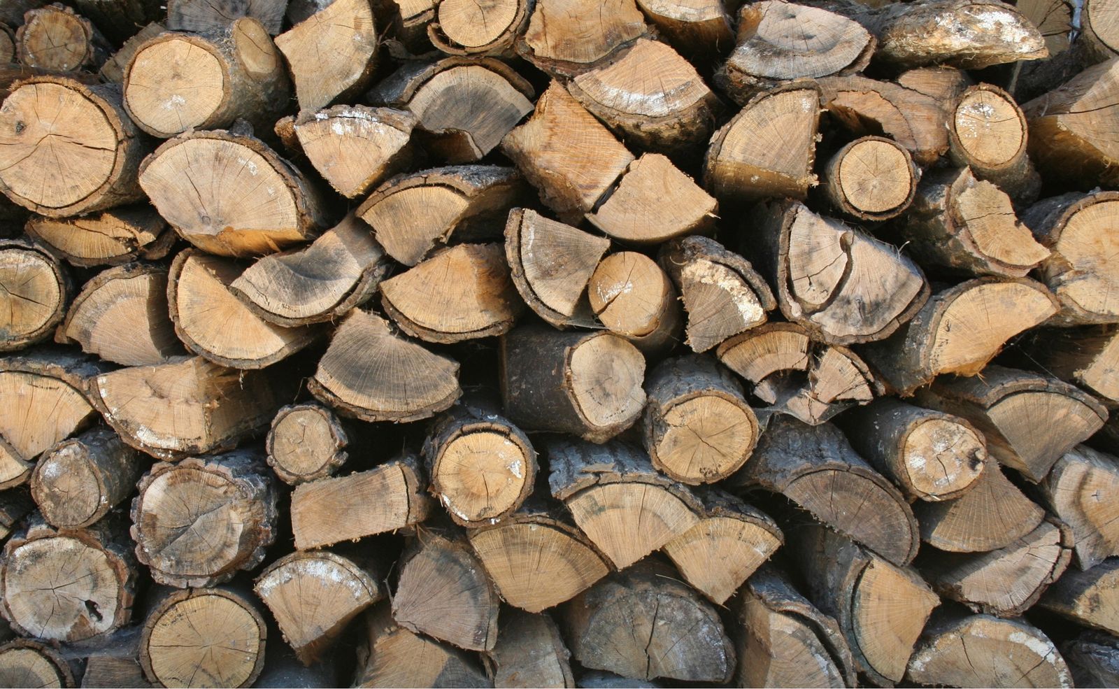 Split firewood stumps and logs