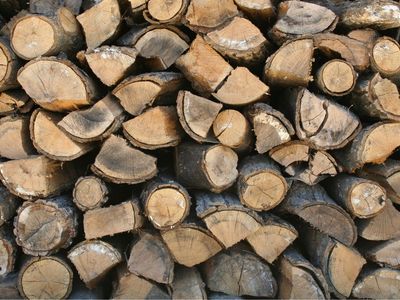 Split firewood stumps and logs