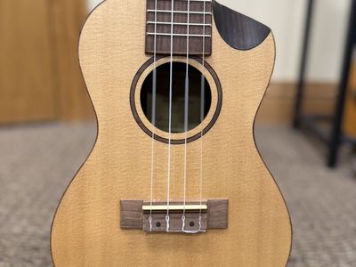 Journey Concert Ukulele