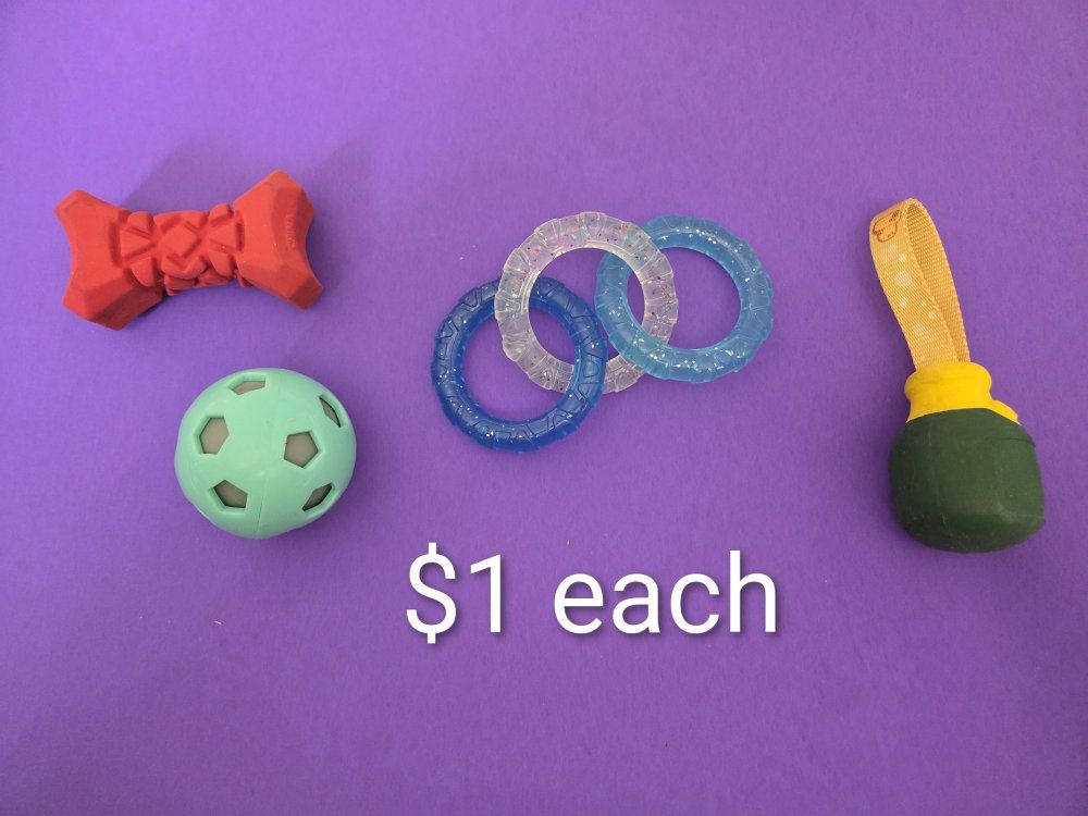 Miscellaneous Dog Items