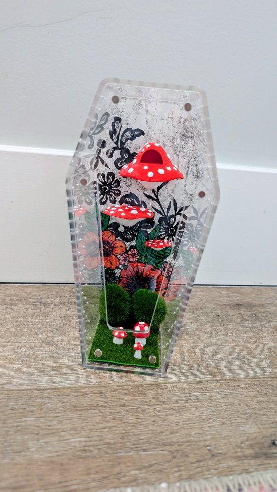 Jumping spider house, spider terrarium, spider habitat, spider enclosure and accessories. No spider