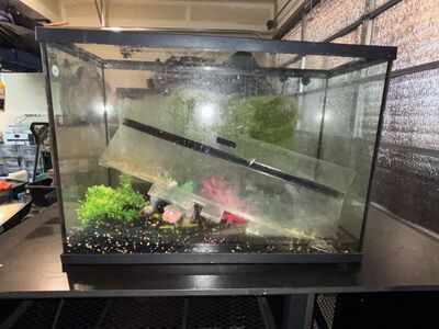 32 Gallon Fish Tank/Aquarium