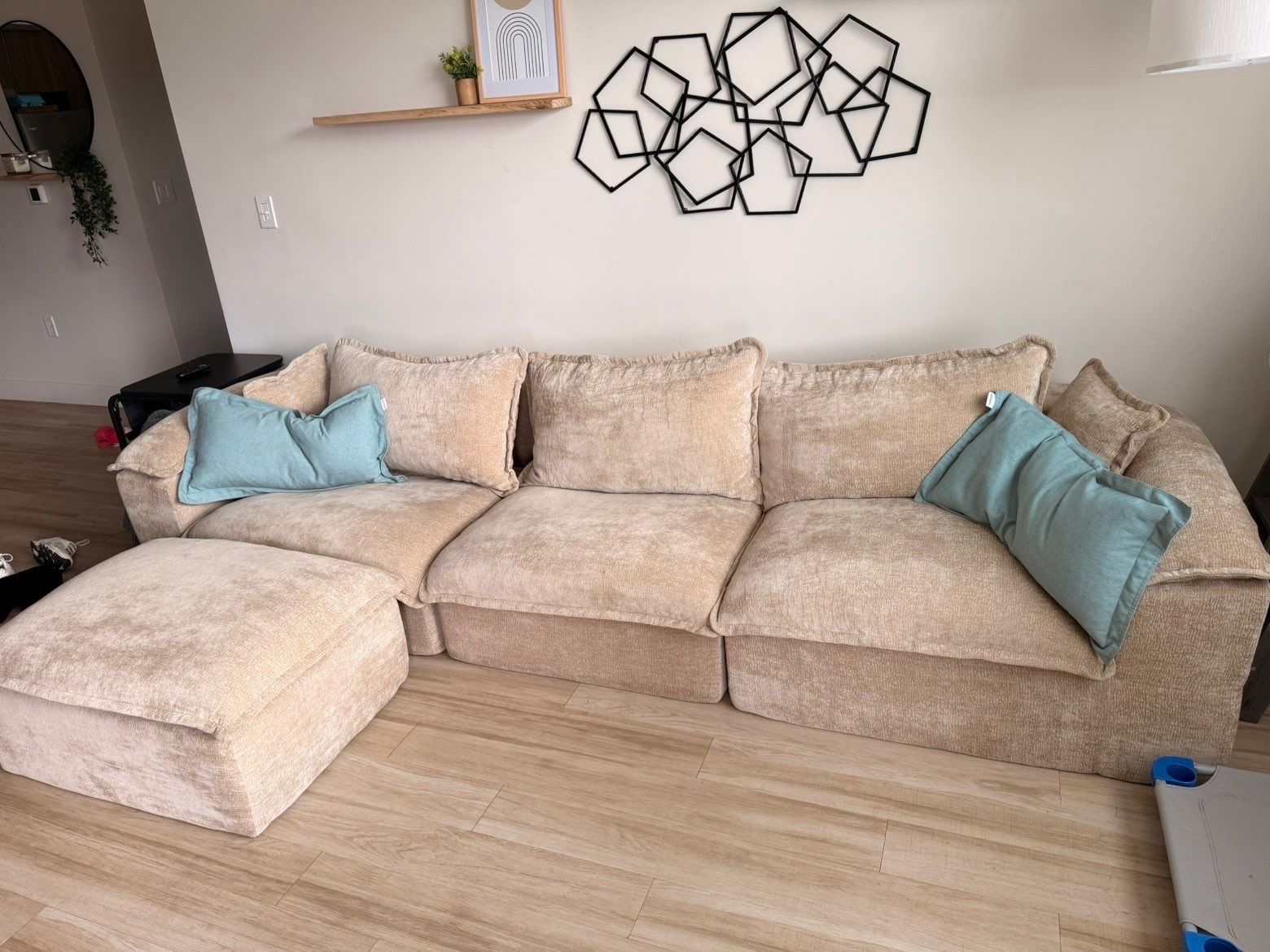 6 month old couch and ottoman