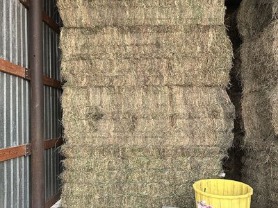 Barn Stored Hay Bales