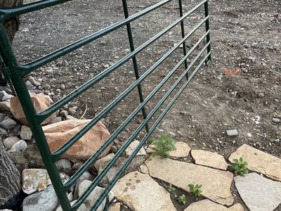 Sheep and goat panels