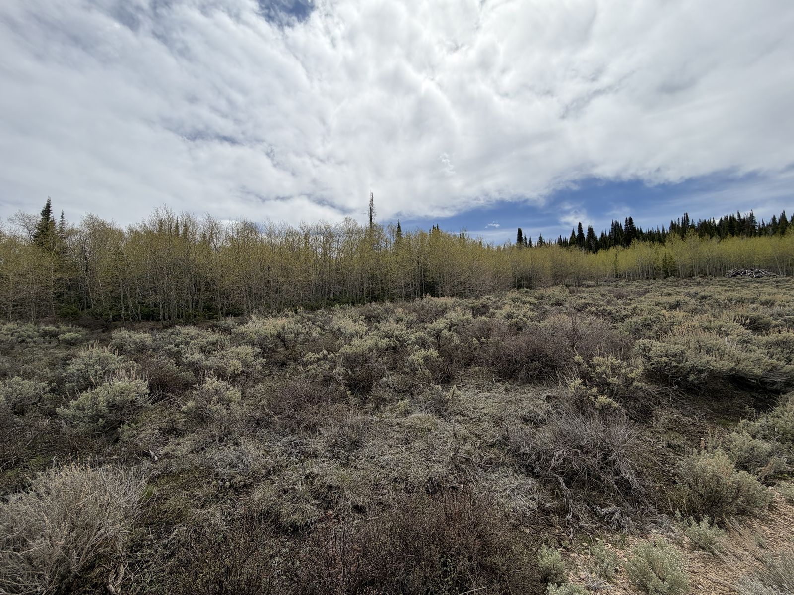 Lot for sale in Commissary Ranches in Kemmerer, WY