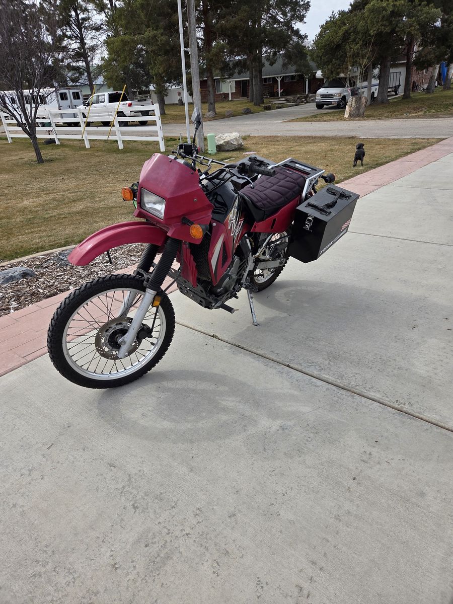 2004 KLR 650