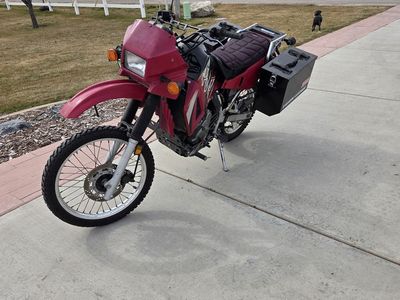 2004 KLR 650