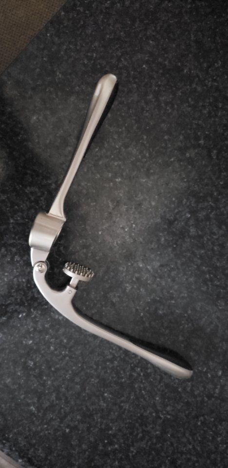 Stainless Steel Garlic Press - Durable Kitchen Tool