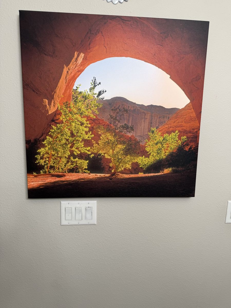 Picture