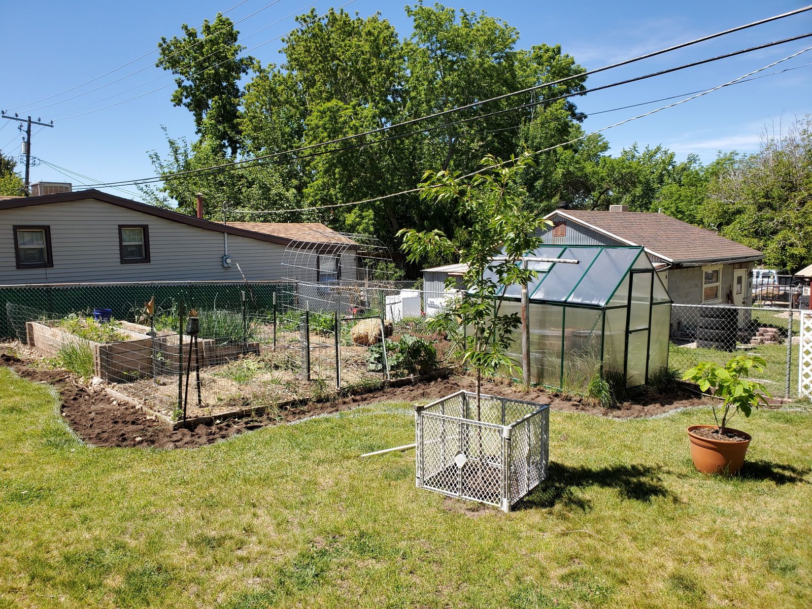 6' X 8' Greenhouse