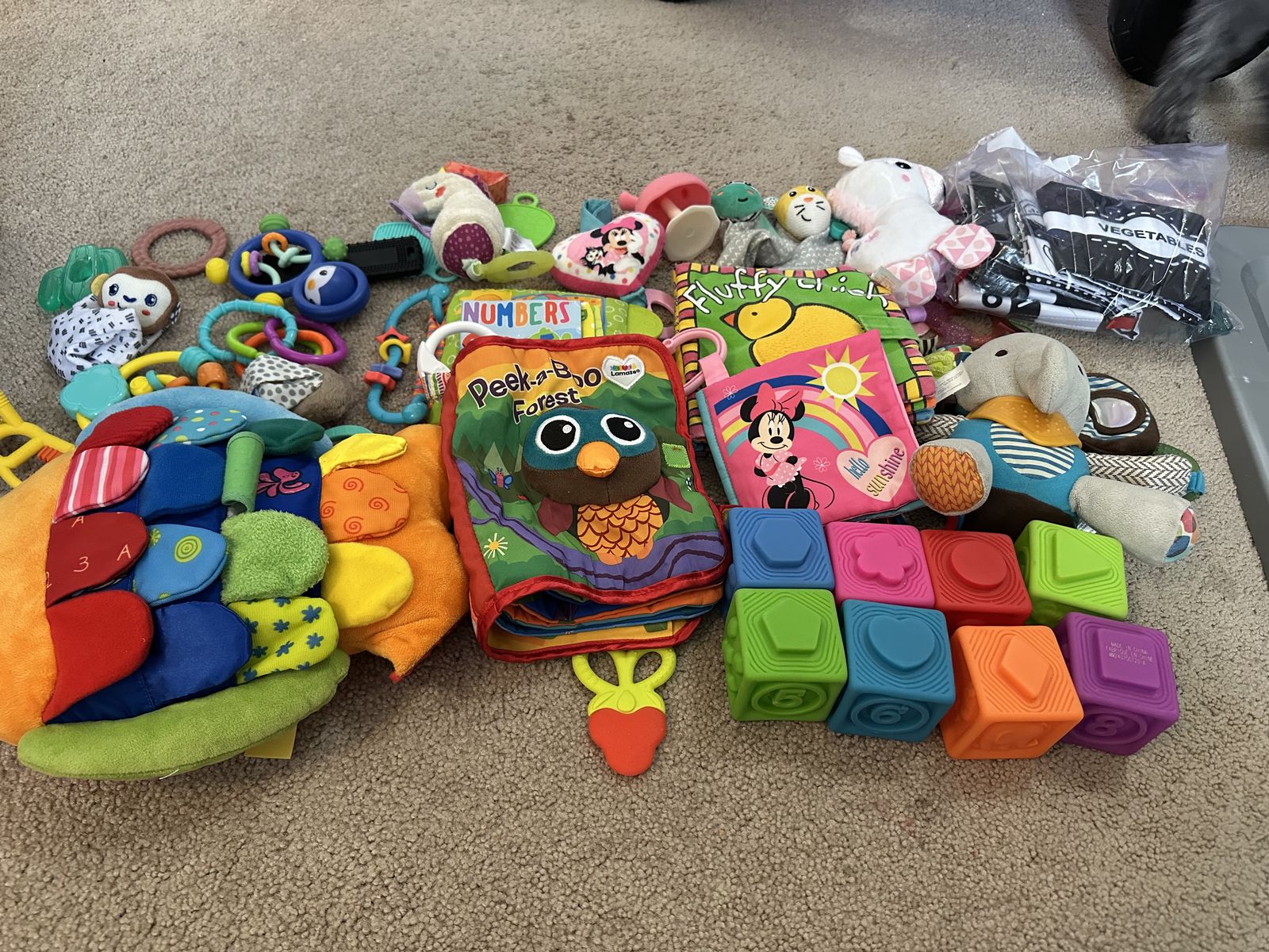 0-6 Mo Toys, Teethers, Soft Books & Blocks