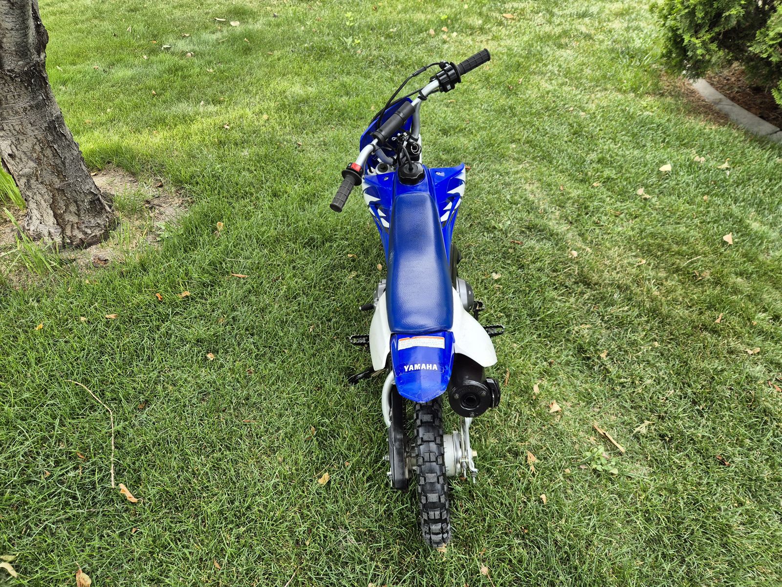 Main image 4