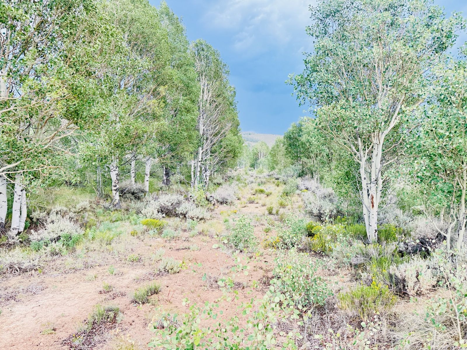 Main image 2