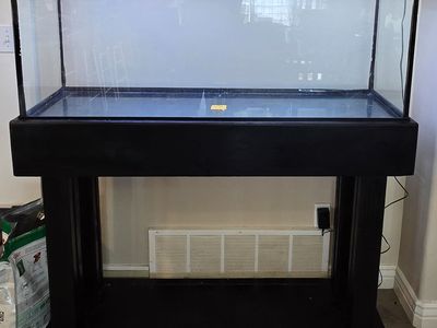55 gallon aquarium w/ TONS of extras