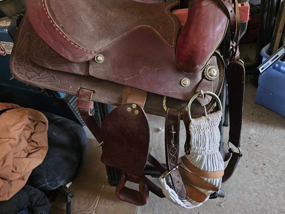 saddle 