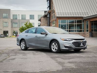 2024 Chevrolet Malibu LS Fleet