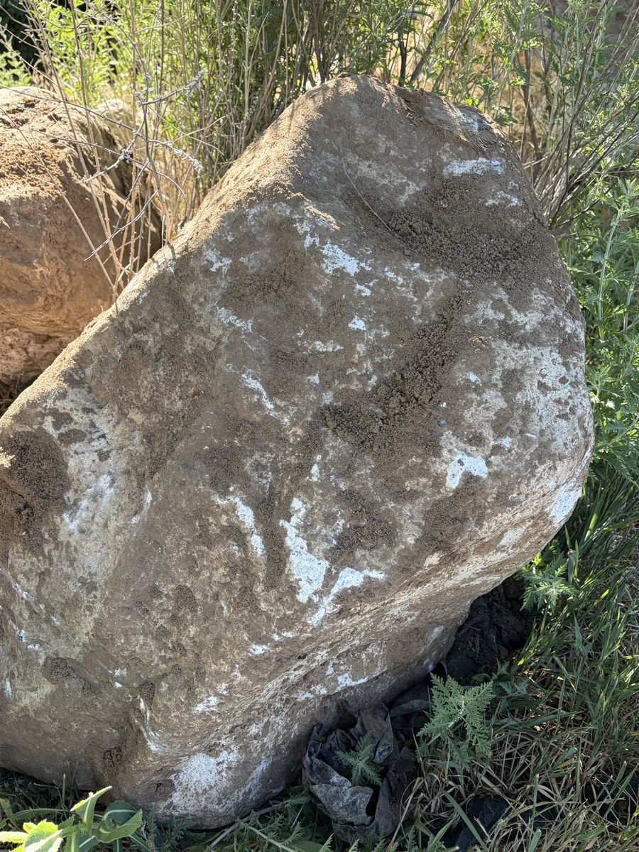 Main image 4
