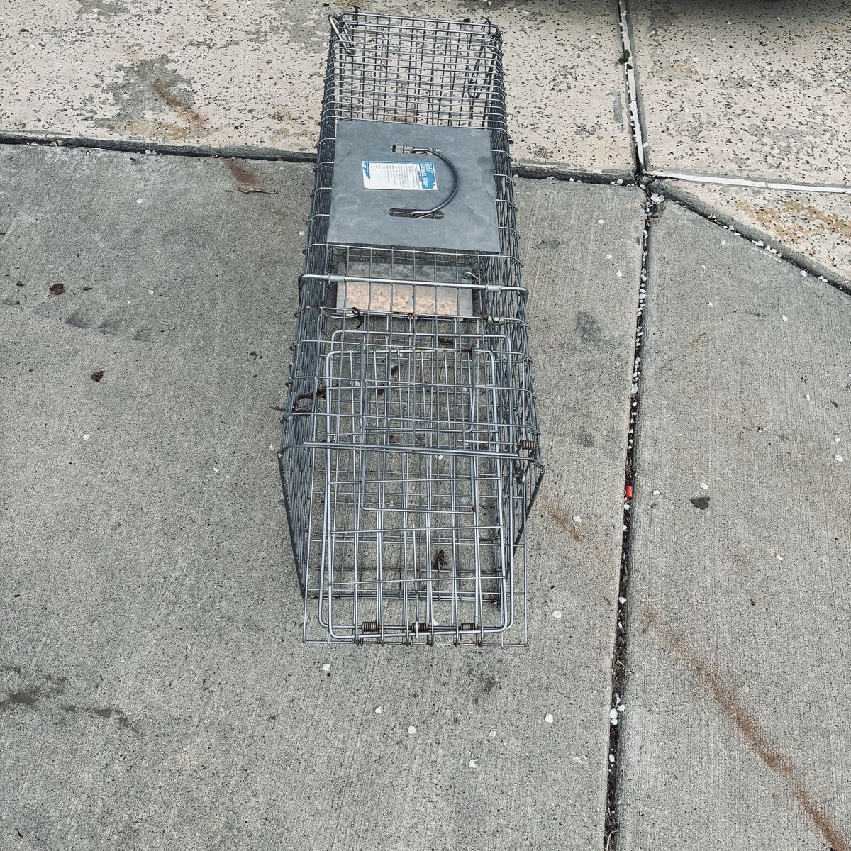 Small Animal Trap