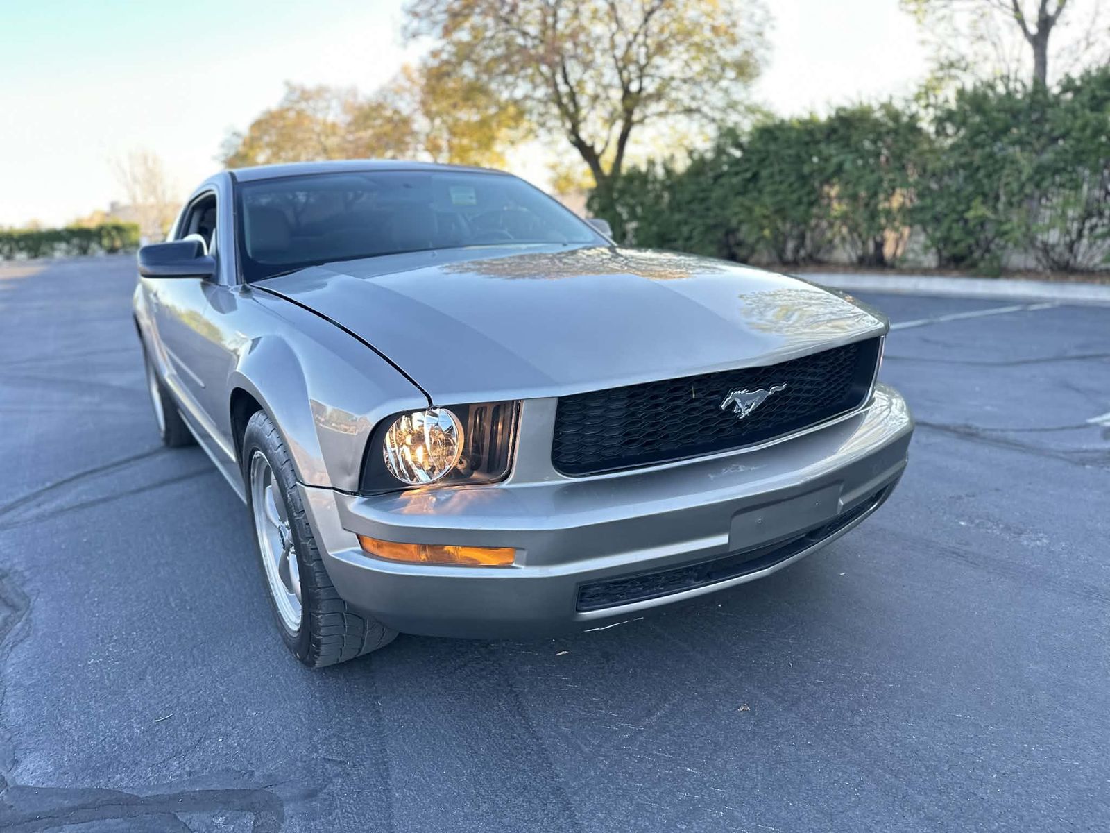 2008 Ford Mustang Base