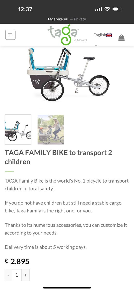 Kid / cargo bike