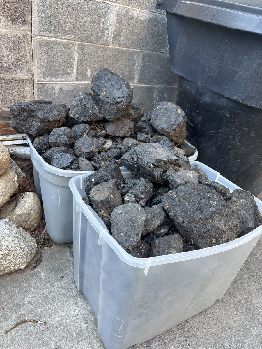 Bulk Coal - Various Sizes for Heating, Forging, or Decoration