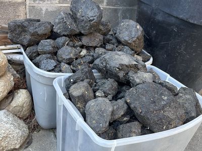 Bulk Coal - Various Sizes for Heating, Forging, or Decoration