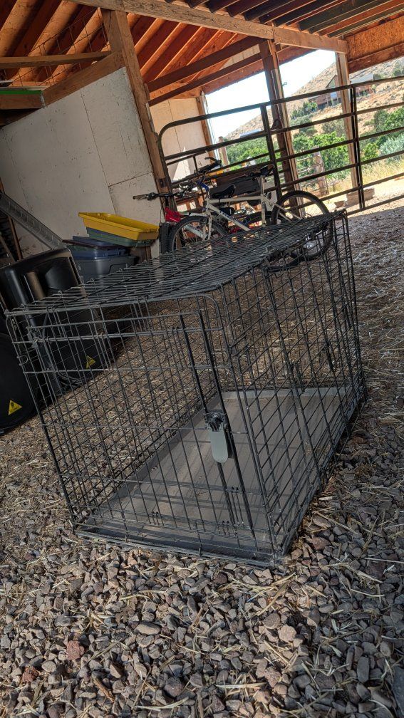 XL Black Wire Metal Dog Crate with Removable Bottom Tray
