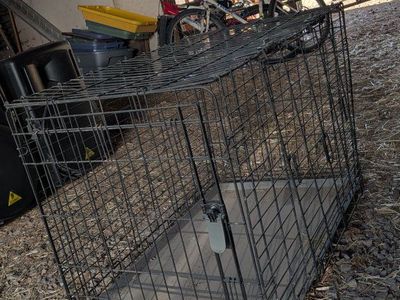 XL Black Wire Metal Dog Crate with Removable Bottom Tray