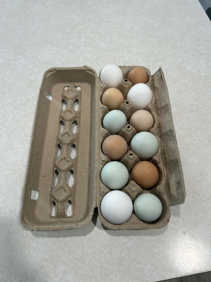 Fresh Free Range Eggs