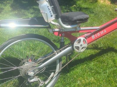 BIGHAA Red Recumbent Bike - Comfortable Cruiser with Water Bottle Holder