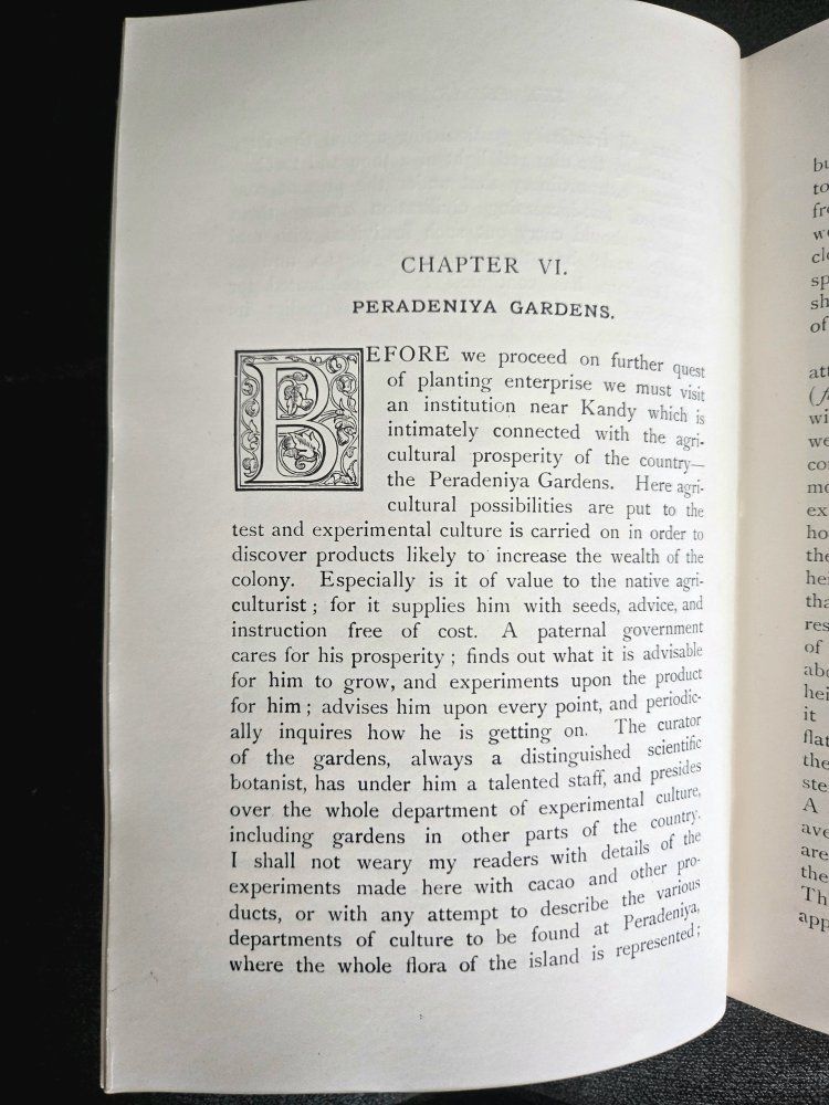 Main image 2