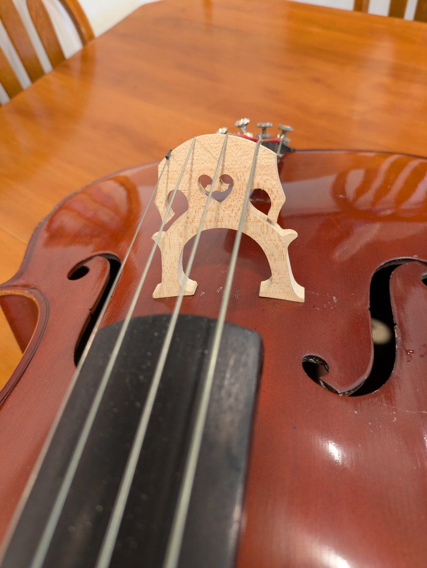 Main image 7