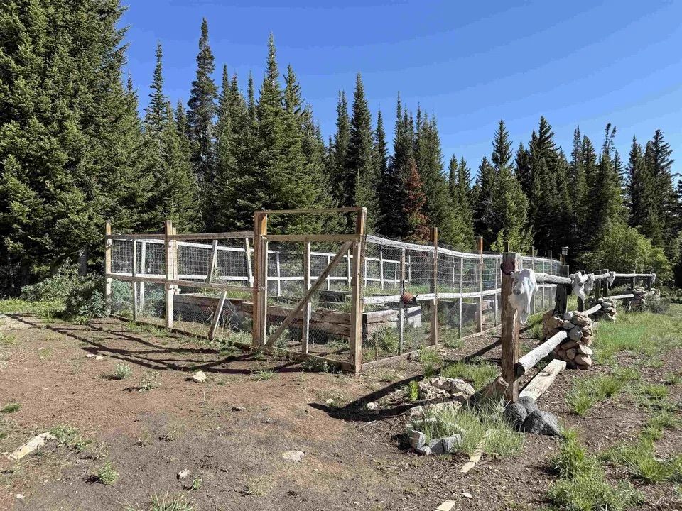 Main image 6