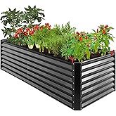 Raised Garden Bed