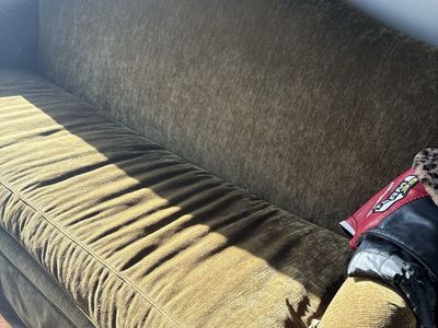 FREE couch + chair