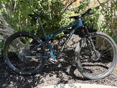 Specialized Epic World Cup 2023 Full Suspension Mountain Bike - Size Medium, Carbon Frame