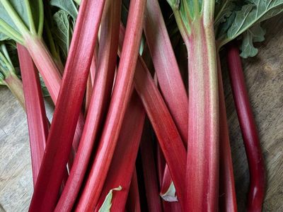 Fresh cut rhubarb