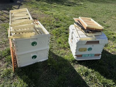 Beehive - Apimaye Ergo Insulated Brood Beehive Set