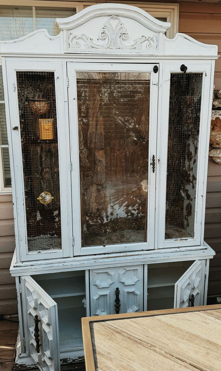 Indoor Out Door Bird Avairy