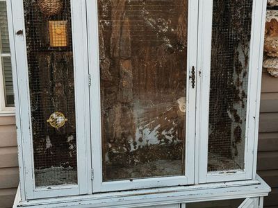 Indoor Out Door Bird Avairy