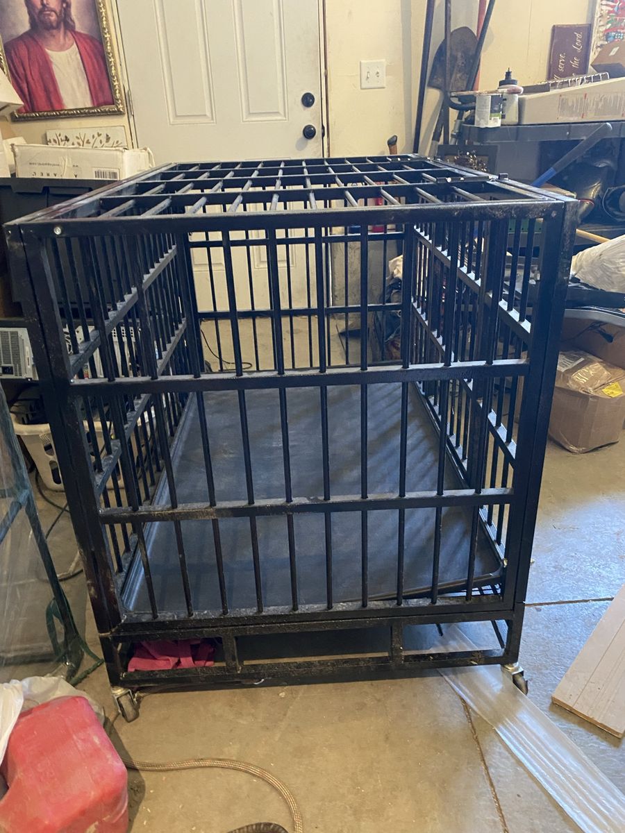 Main image 5