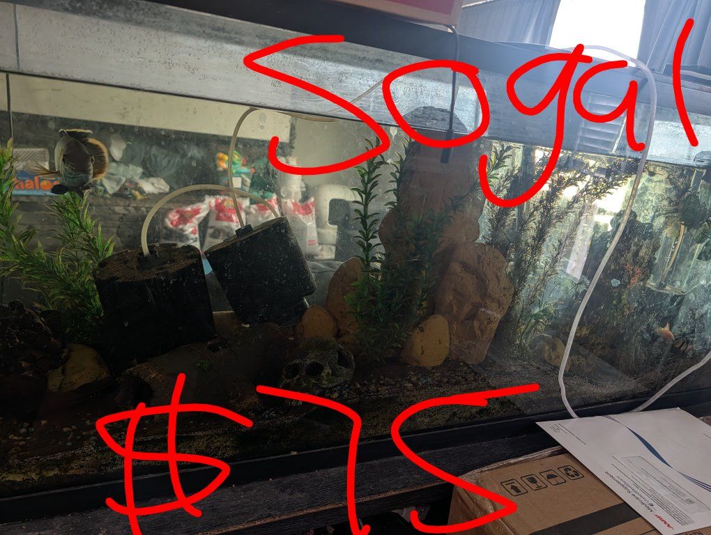 Glass Aquarium Tanks Various Sizes (10 Gallon to 50Gallon)