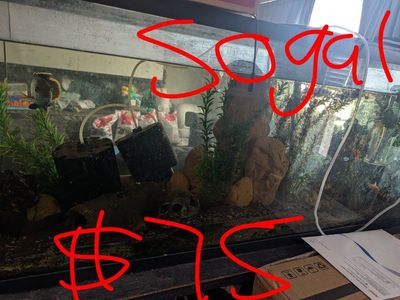 Glass Aquarium Tanks Various Sizes (10 Gallon to 50Gallon)