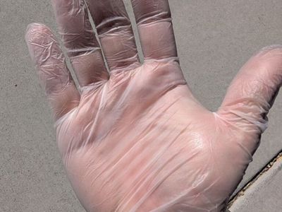 Medium Vinyl Gloves (24 Available, 100 Gloves Per)