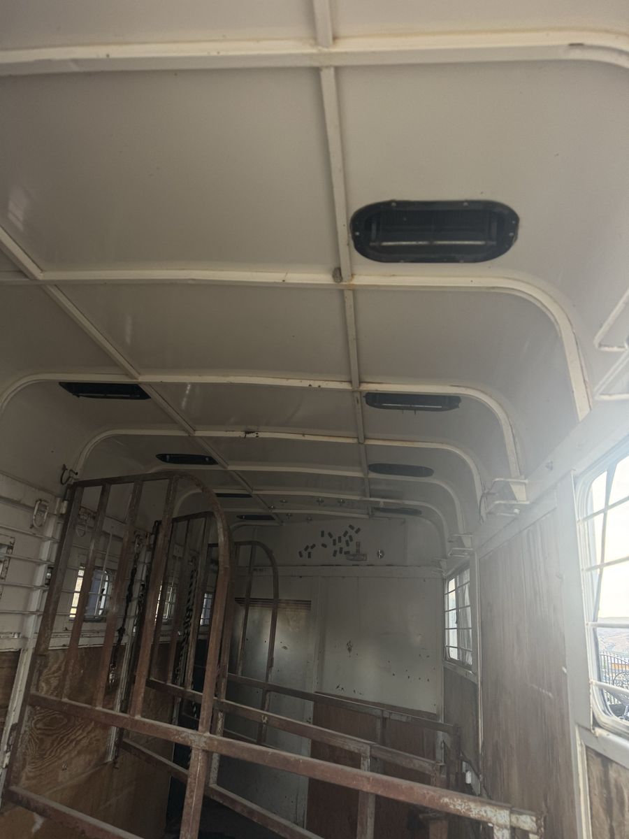 Main image 8